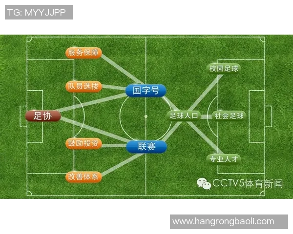 中国足球资料库全面升级助力青少年足球发展与国家队建设