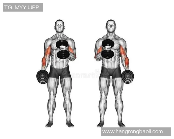 哑铃弯举的正确姿势与锻炼效果解析，助你全面提升手臂肌肉力量