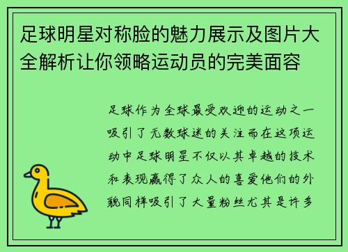 足球明星对称脸的魅力展示及图片大全解析让你领略运动员的完美面容